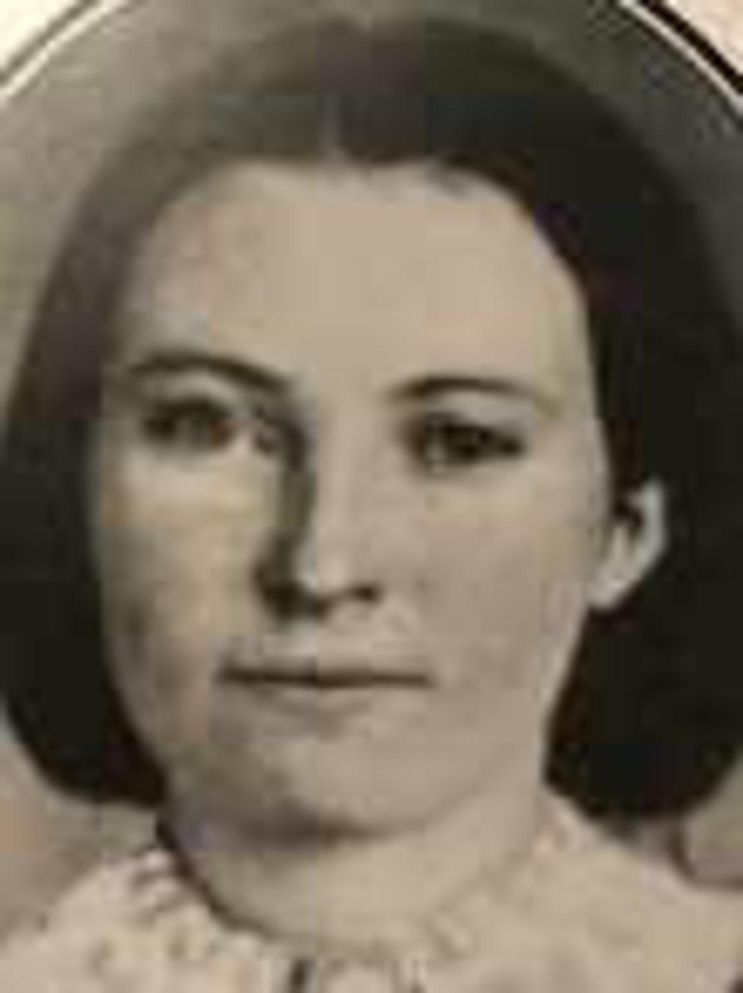 Sarah Jane Foster (1836 - 1910) Profile
